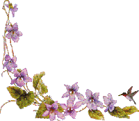 Floral Frame